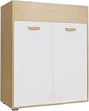 Office Storage File Cabinet with Office Partition Short Cabinet for File Storage Office Furniture File Cabinet 1200 x 400 x 1000 Dimensions