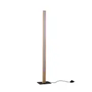Lexi Lighting Rectara Floor Lamp