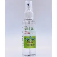 在飛比找蝦皮購物優惠-恆安 潔淨寧乾洗手噴劑 80ML