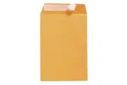 Cumberland Envelopes Pocket Strip Seal 85GSM 250x176mm Gold Box 250