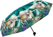 Nemesis Now Fairy Whispers Umbrella LP, Multi Colour, 55cm