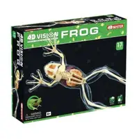 在飛比找momo購物網優惠-【4D MASTER】立體拼組模型恐龍系列-全透視青蛙(26