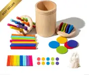 Montessori Wooden Color Sorting Toys for Toddlers 1-3, Learning Games