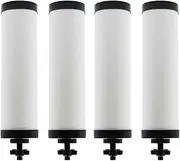 【Upgraded】Renami Ceramic Filter Silver Infused Replacement for BB9-2® Black Activated Carbon Filters, Compatible with Berkey® Travel, Large, Royal, Crown Series, Repeatable Cleaning Filters, Pack of 4