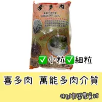 在飛比找蝦皮購物優惠-【台灣出貨 電子發票】喜多肉 3L  小粒 細粒 仙人掌 多