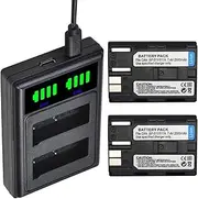 2 Packs BP-511A BP-511 BP511 BP511A Batteries Dual Charger with Type C Port for Canon EOS 40D 300D 5D 20D 30D 50D 10D D60 G6 Camera