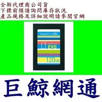 在飛比找PChome商店街優惠-十銓 TEAM 2.5 Ultra L3 EVO SATA 