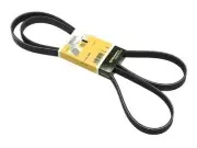 ContiTech 49JV34J Accessory Drive Belt Fits 2006-2007 BMW 530i