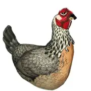 New! John Derian - 16"x15" Beaded Chicken Plush Pillow Target New Home Decor