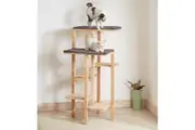 Kitten Racking