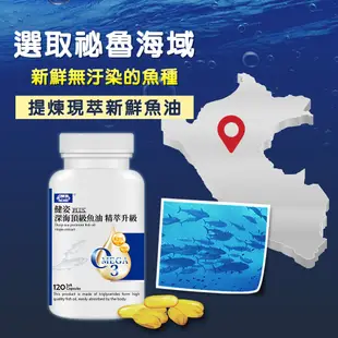 杏輝 高濃度深海魚油 120粒/瓶 大瓶裝 Omega-3 EPA DHA 維生素E 軟膠囊 純淨 好吞 無腥味