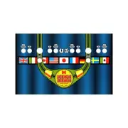 Ring King Arcade Control Panel Overlay CPO Textured Laminate