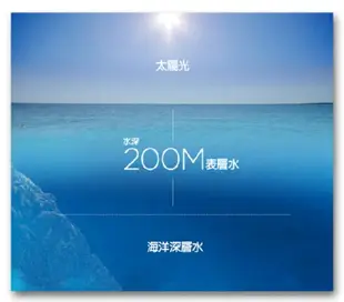 大容量超划算 日本 東京純藥 海洋深層水 天然草本海藻洗髮精 1000ml