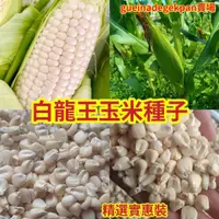 在飛比找蝦皮購物優惠-🌿台友農種業園🌿【白龍王玉米種子】爆款🔥 爆漿奶白玉米精選優