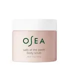Salts of the Earth Body Scrub 12 Oz - Pink Himalayan Salt - Vegan