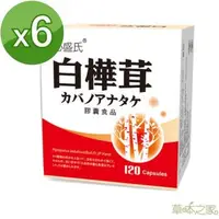 在飛比找森森購物網優惠-草本之家-白樺茸菇膠囊120粒X6盒