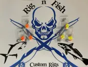 6 Pier - Surf Fishing Rigs 1/0 Hooks Pompano Spots Whitings Croakers Snappers