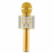 Wireless Bluetooth Karaoke Microphone Speaker Handheld Mic USB Player AU Gold