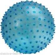 Spiked Blue Massage, Fitness, Yoga, Exercise & Gym Ball, Air Pin Included