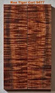 Shimmering Stabilized Koa Tiger Curl scales #9477, 5 15/16" x 1 11/16" x 7/16"