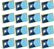 12/24/50/100Pcs Official State of Minnesota Flag Pins Bulk - Metal Minnesota MN Lapel Pin