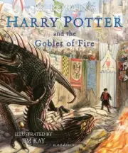 Harry Potter and the Goblet of Fire: Illustrated Edition by J.K. Rowling Paperba