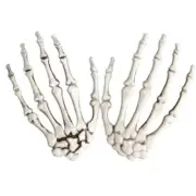 Pairs Halloween Skeleton Hands Plastic Hand Skeleton Model for Halloween Decor