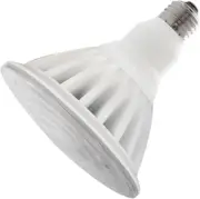 PAR38 LED Light Bulb, 325W Equivalent, Outdoor Flood Light Bulb, Non Dimmable, 1