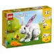 LEGO 31133 白兔 創意百變 3 合 1系列【必買站】樂高盒組