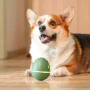 Cheerble Wicked Egg Automatic Interactive Treat Dispensing Pet Toy, 3 Interactiv