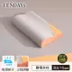 【TENDAYS】玩色柔眠記憶枕 單入(霧橙灰 8/10cm任選)