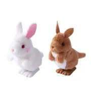 Jumping Rabbit Toy Wind Up Crawling Toy Bunny Wind Up Toy Kangaroo Wind Up Toy