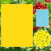 40 Yellow Panels Sticky Insect Traps, Cherry Mad Trap, Yellow Paper for Caterpillar Glue, Against Fungus Gnats, Aphids, Nematodes, White Flies and Mining Flies Premium Yellow Sticker Fly Trap