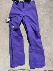 The North Face Ceptor Bibs Pants Ski Snowboard Mens L Cave Blue TNF Black NWT