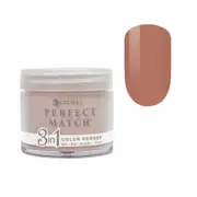 Lechat Perfect Match SNS Gelish Dip Dipping Powder Nail PMDP017 B-52 42g