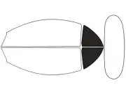 Rvinyl Window Tint Kit Fits Mitsubishi Eclipse 2001-2005 (Spyder)