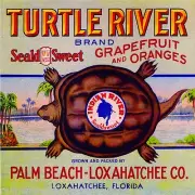 Loxahatchee Palm Beach Florida Turtle River Orange Fruit Crate Label Print