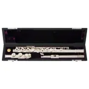 New TREVOR JAMES PRIVILEGE FLUTE - w/SILVER Lip & Riser, E mechanism -Ships FREE