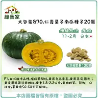 在飛比找Yahoo奇摩購物中心優惠-【綠藝家】大包裝G70.仁壽栗子南瓜種子20顆