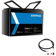 Gentrax 12V 100Ah Lithium Battery + 3* 1AWG 1.5m Connector Cable Black M8 Lug