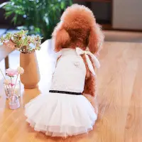 在飛比找Yahoo!奇摩拍賣優惠-下殺 寵物狗系帶蕾絲公主風紗裙編碼比熊薩摩耶中小型犬寵物蕾絲