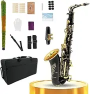Yinfente Eb flat Saxophone With 10 Reeds,8 Pads Cushions,Hard Case and More,For Student,Beginner,Adult,Alto Saxophone,Saxophone Kit (Black-Gold)