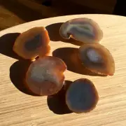 1lb Lot 5 Agate Geode Slices End Cut Stones Brown Crystals with Banding & Quartz