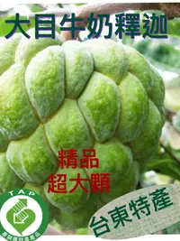 在飛比找樂天市場購物網優惠-牛奶釋迦中大果13~15兩整箱買10入/12入精緻禮盒【皇家