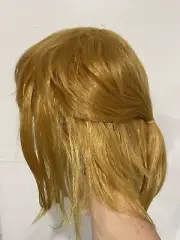 Legend Of Zelda Wig Adult Sized