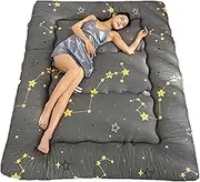 Foldable Futon Mattress Japanese Futon Foldable Mattress 2 Places-Tatami, Japanese Futon Japanese Floor Mattress Japanese Floor Futon(C,100x200cm)