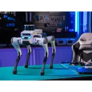 YUNSHENCHU Lite 3L LiDAR Version Bionic Quadruped Robot Dog High Driving Force