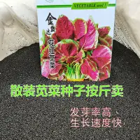 在飛比找蝦皮購物優惠-現貨、種子 一點紅圓葉莧菜種子紅漢菜尖葉綠葉陽臺種菜盆栽蔬菜