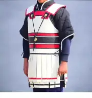 SCA & LARP Greek Hoplite Leather linothorax Armor