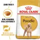 法國皇家 PDA 貴賓成犬 1.5KG(3182550743174)